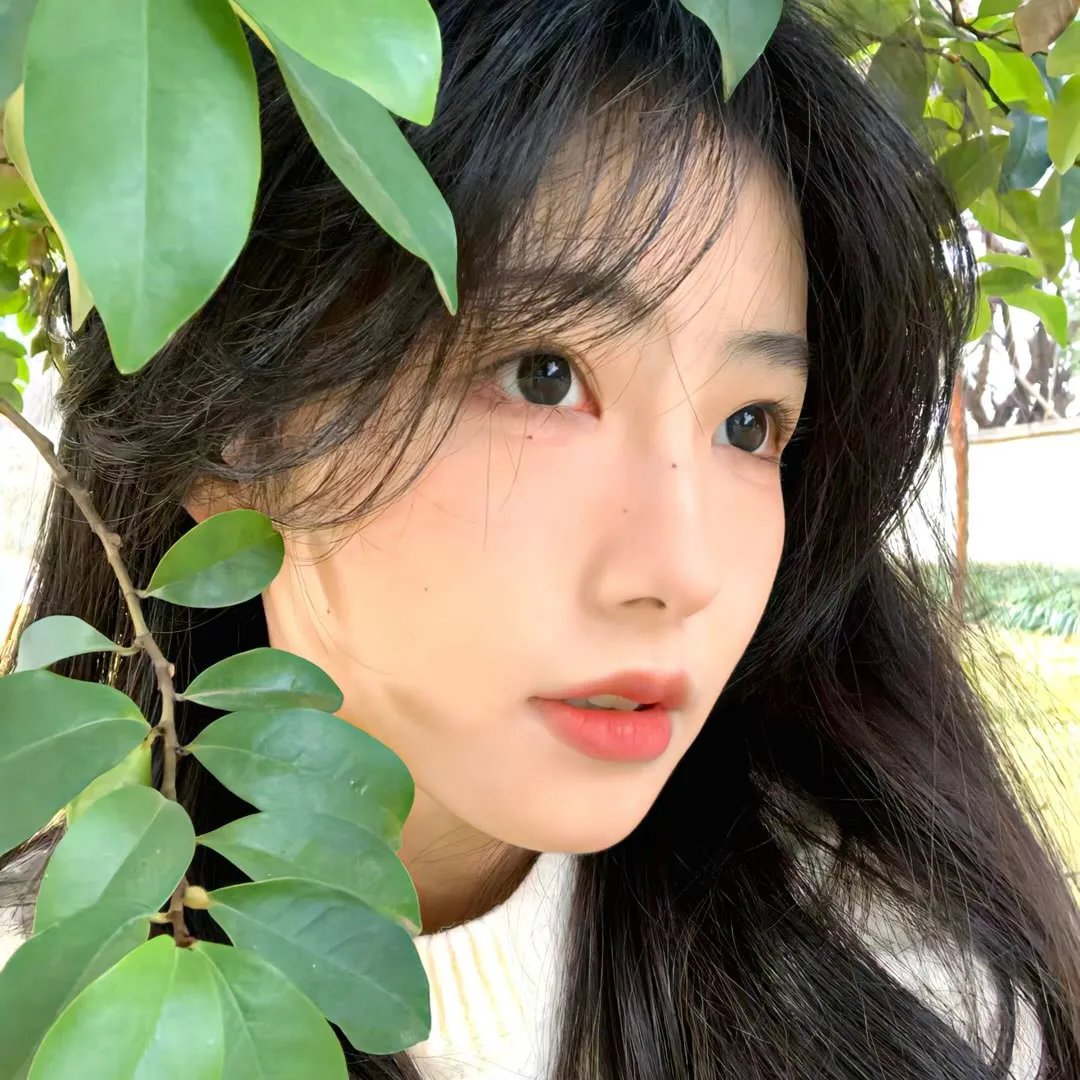 雪与熊